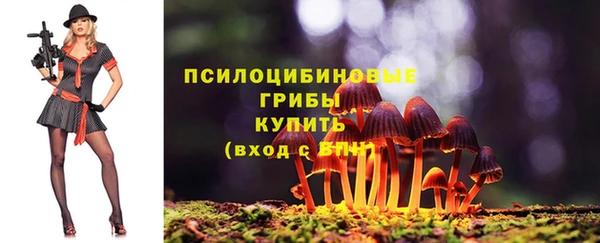 твердый Бугульма