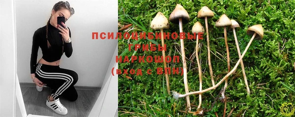 твердый Бугульма