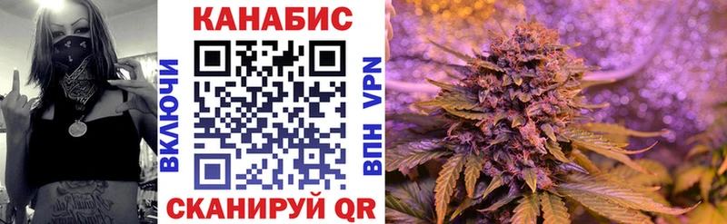 Конопля гибрид Нарьян-Мар